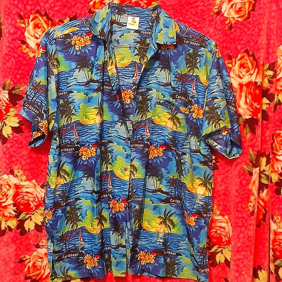 Blue Caribbean Island style Vacation Shirt ,Size Large! - Picture 1 of 2